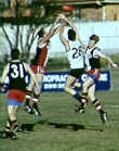 AIS Australian Football Players - photo : NSIC collection ASC